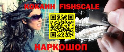 шишки Кимры