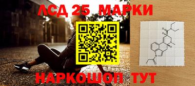 меф Кингисепп