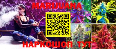 шишки Кимры
