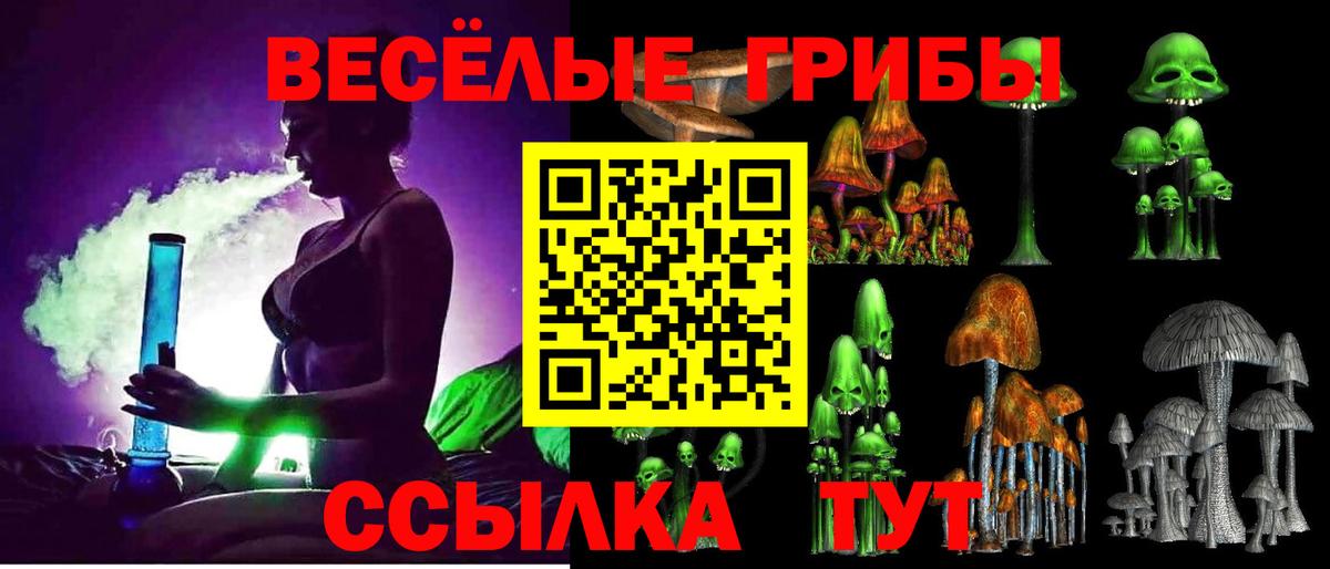 Галлюциногенные грибы Magic Shrooms  Вход с VPN  Псилоцибиновые грибы прущие грибы  Карталы 
