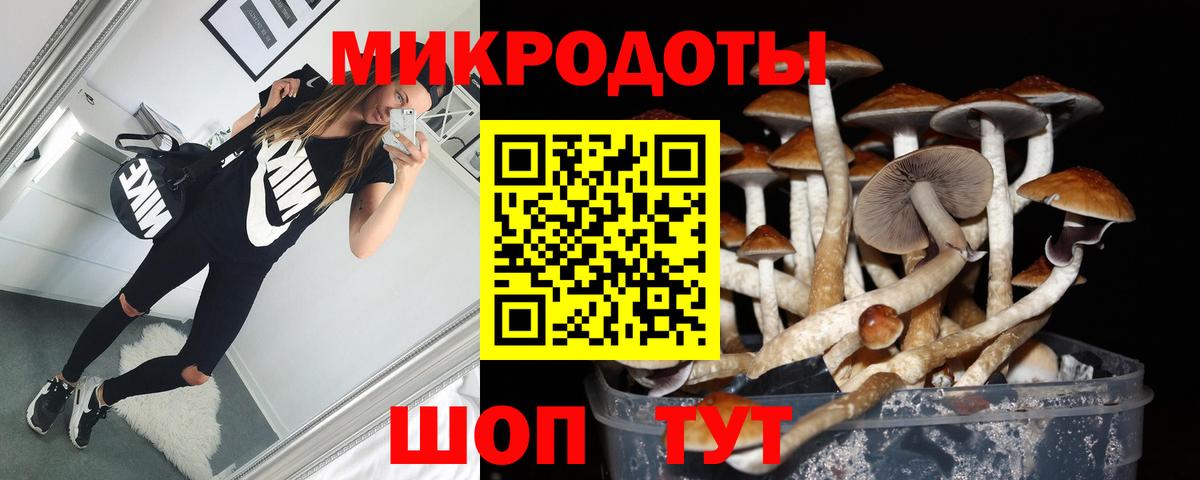 Галлюциногенные грибы Psilocybine cubensis Карталы